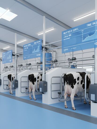 Digitalisierung in der Milchwirtschaft