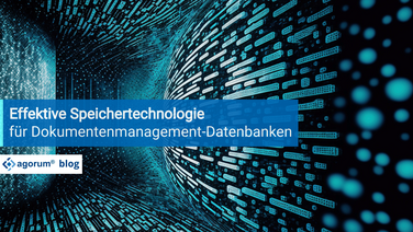 Grafische Darstellung von Datenbankstrukturen zeigt effektive Speichertechnologie für Dokumentenmanagement-Systeme (DMS).