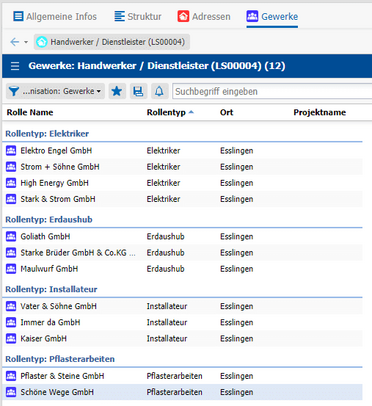 Übersicht des Handwerkerpools im Dokumentenmanagement-System zeigt verschiedene Handwerker und Dienstleister für Esslingen.